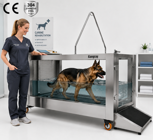 Système de rééducation aquatique canine, tapis roulant sous-marin pour chien avec chauffage, machine d'hydrothérapie professionnelle pour animaux de compagnie, fournisseur en gros - Product Image 1