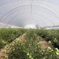 Serre agricole à faible coût, grande serre en polyéthylène double couche, type Y, abri contre la pluie pour légumes, serre pour tomates