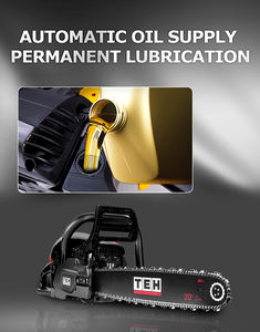 <span class=keywords><strong>TEH</strong></span> Tronçonneuse professionnelle à essence 2400W pour couper le bois Tronçonneuse à essence 58cc - Product Image 2