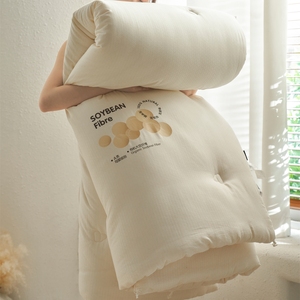 Soybean Fibre <b>Quilt</b> 100 Cotton Spring Autumn <b>Winter</b> Warm Thickened Single Double Home Use Organic Yarn Dyed - Product Image 2