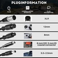 Chargeur 42V 2A 5 en 1 avec prises DC 5,5 * 2,1 mm, 8 mm/12 mm 3 broches, RCA et XLR 3 broches pour alimentation de batterie Li-ion 36V