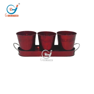 Bộ Ba thân thiện với môi trường kim loại Vườn Thảo mộc thịt đầy màu sắc thực vật chậu hoa nhỏ trên khay mạ kẽm - Product Image 4