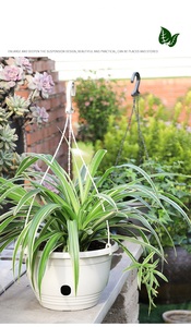 Hanging Basket <b>Planters</b> for Indoor Outdoor Flower Plant Pot - Product Image 6