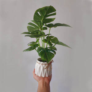 Arbre à bonsaï artificiel vert, <span class=keywords><strong>30</strong></span> <span class=keywords><strong>cm</strong></span>, plantes en <span class=keywords><strong>pot</strong></span> pour décoration de jardin, maison, offre spéciale - Product Image 3