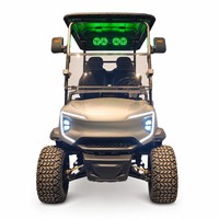Voiturette de golf électrique Sculpture Park 2, 4 ou 6 places, Moteur AC 48V 5KW, Batterie au lithium, pour navettes de visiteurs, avec plateau utilitaire et porte-bagages