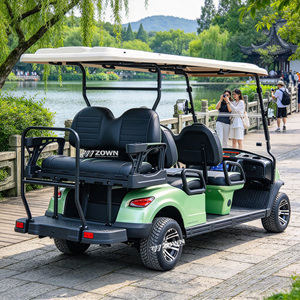 Carro de golf eléctrico antirrobo para 4 pasajeros, de alta capacidad de carga, para visitas a jardines botánicos - Product Image 1
