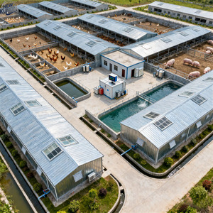 Naves Agrícolas, Almacenes Prefabricados para Granjas, Estructuras Metálicas de Acero, Cobertizos de Estacionamiento, Instalación y Proyectos - Product Image 3