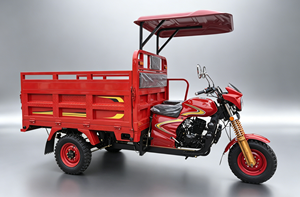 Tricycle motorisé à essence à 3 roues, robuste, à carrosserie ouverte, capacité de charge élevée 400 kg+, 5 vitesses, 151-200 cm³, 70 km/h, poids 140 kg - Product Image 2