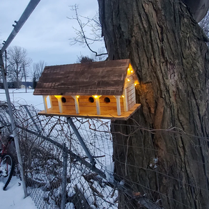 Grand nichoir en bois de cèdre à quatre lits Ferme Violet Martin Maison <span class=keywords><strong>Nid</strong></span> Fournitures pour oiseaux - Product Image 5