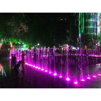 Fuente de Agua Danzante para Exteriores de Acero Inoxidable con Diseño de Dibujo y Luces de Colores