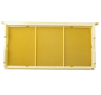 Nouvelle condition Langstroth cadre de ruche en plastique fil non enterré Langstroth équipement de ruche en plastique équipement d'apiculture