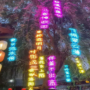 Poésie bannière lumière parcs extérieurs rue <span class=keywords><strong>arbre</strong></span> suspendu créatif <span class=keywords><strong>mots</strong></span> illuminés <span class=keywords><strong>arbre</strong></span> signes publicitaires flexible Led Neon Light - Product Image 4