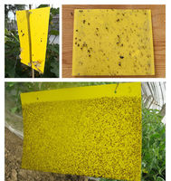 Piège à phéromones pour mouches des fruits des vergers agricoles, en plaque ABS solide, autocollants de capture non toxiques, leurre pour abeilles