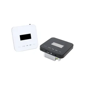 T Mp3/WMA/WAV/AAC/WAW/APE/ LCD Screen Home Audio Mini Bluetooth Wall Amplifier For Hotel Room