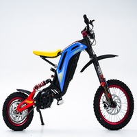 79bike Titaone S Elektro-Dirtbike Aluminiumlegierungsrahmen Offroad 48V25Ah Lithium-Batterie 50km/h Höchstgeschwindigkeit Black Bee Rattlesnake