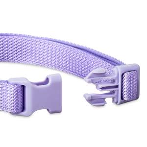 ปลอกคอสุนัขแบบปรับได้ทำจากนีโอพรีนสีสันสดใสขนาดกลาง - Product Image 4