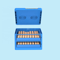 Mini-incubateur à œufs / Incubateur et machine à éclosion pour poulets