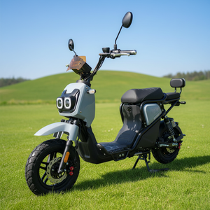 Nouveau Vélo Électrique Monoplace <span class=keywords><strong>Mini</strong></span> Moto Électrique 1000W 60V/72V Vélo Électrique Haute Vitesse Batterie Plomb-acide - Product Image 1