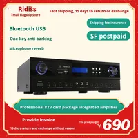 Amplificateur de karaoké professionnel TAK8 HIFI 2 canaux pour salles de réunion, salles de karaoké, usage domestique et professionnel