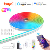 Bande lumineuse LED néon intelligente Tuya Smart Life WiFi, Alexa, Google Home, bande lumineuse LED néon RGB, ruban LED