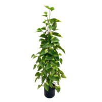 Plante artificielle moderne de 100 cm, éco-responsable et durable, en pot, feuillage vert-jaune en forme de cœur, pour salon, bureau, étagère, villa