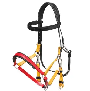 Waterproof PVC Coated Multicolor Horse Halter with Metal Hardware Horse Riding Equipment Horse Halter Bridle