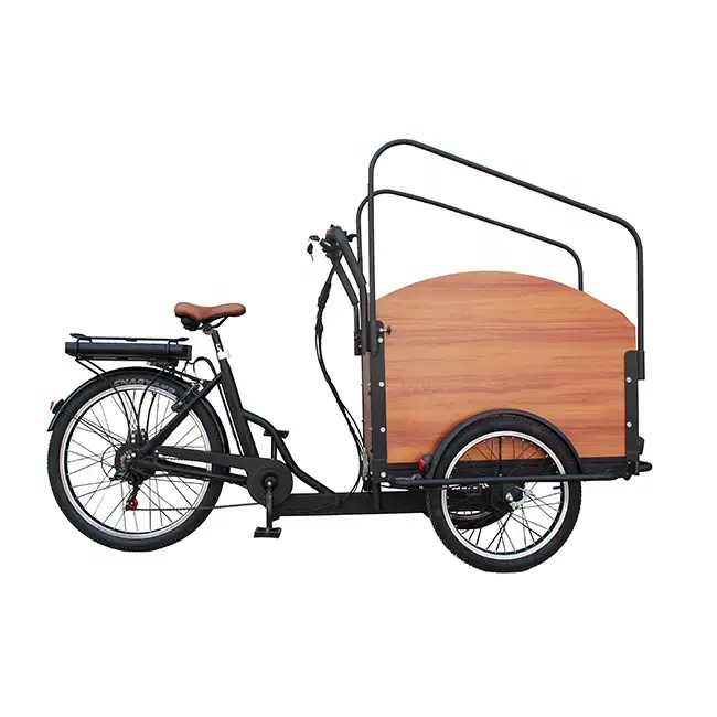Trikes électriques Électrique vélo Cargo, 500W 48V 10Ah famille tricycle électrique tricycles,e tricycles électriques de fret tricycle