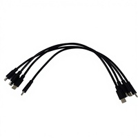 Câble Type-C double tête TPC 60W à charge rapide 0,3m noir