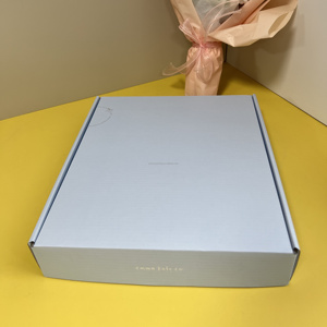 Boîte Express Personnalisée Haut de Gamme à Fermeture Auto-Adhésive avec Fermeture Éclair Gratuite <span class=keywords><strong>et</strong></span> Film à Déchirure Facile - Product Image 6