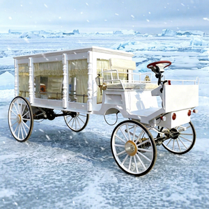 Carroza Fúnebre Estándar Europea, Carrozas Fúnebres Clásicas Eléctricas/de Caballos, Carroza Fúnebre - Product Image 1