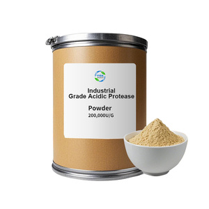 Endüstriyel Sınıf Asidik Proteaz Enzimi 200000U/G CAS 9001-92-7 YIDA <span class=keywords><strong>Biotech</strong></span> 12 Ay Raf Ömrü Verimli Protein Hidrolizi - Product Image 1