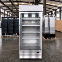 Vitrine Réfrigérée Simple Porte Vitrée Refroidissement par Air Congélation Rapide Étagères Réglables 400L Restaurant