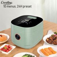 Cuisinière à riz électrique intelligente de style moderne 3L, accessoire de spatule, mini appareil de cuisine numérique, vente en gros d'usine pour usage domestique