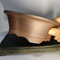 Pot à bonsaï en forme de prune, classique, sculpté à la main, écologique, best-seller, pour la maison et le jardin