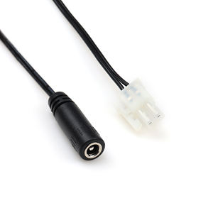 <span class=keywords><strong>2</strong></span>.1 kustom elektrik DC 5,5*4.<span class=keywords><strong>2</strong></span> betina Ke mikro pas kabel 2pin rakitan kabel Harness kawat - Product Image 4