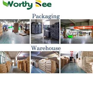 <span class=keywords><strong>Plomada</strong></span> Retráctil, Herramientas de Construcción, Martillo de Plomo, Herramientas Utilizadas por Constructores Profesionales, OEM Industrial, ODM Magnético - Product Image 5