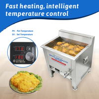 Friteuse à gaz commerciale extérieure Hansu 35L à double température avec affichage numérique et contrôle de la température pour snacks