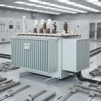 Transformator Distribusi Tiga Fasa 100kVA 50/60Hz Tegangan Khusus untuk Peralatan Pasokan Daya Industri