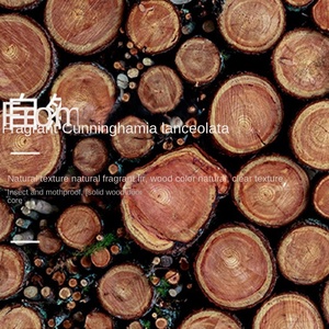 Porte de maison haut de gamme personnalisable porte en bois massif chêne teck villa isolation phonique intérieure portail en cristal de carbone - Product Image 6