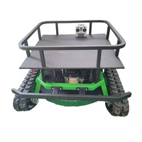 HMR Professional 9HP Mini Tracteur à Gazon Automatique RC, Tracteur à Gazon, Tondeuse à Gazon à Roues