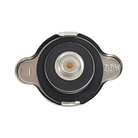 16401-87206 19045-PV1-015 16401-67150 araba parçaları radyatör kondenser tankı kapatma başlığı TOYOTA HILUX LAND CRUISER HONDA FORESTER için