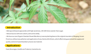 甘い茶葉ルブソシド70% ~ 98% 中国の甘いブラックベリーの葉エキス工場価格 - Product Image 3