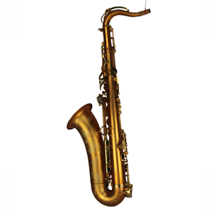 <span class=keywords><strong>Saxophone</strong></span> <span class=keywords><strong>ténor</strong></span> professionnel Bb Eastern Music TS310DJ, entièrement martelé à la main, finition <span class=keywords><strong>vintage</strong></span> satinée or mat, gravé à la main - Product Image 1