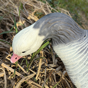 หุ่นจำลองห่านสีน้ำเงินเหมือนจริงแบบกำหนดเอง ติดตั้งบนเสาพลาสติก สำหรับล่อเหยื่อในการล่าสัตว์กลางแจ้ง อุปกรณ์ล่าสัตว์น้ำหนักเบา - Product Image 2