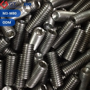 Titanyum Alaşımlı Çelik TA1 TA2 TC4 Allen Vidalı Takoz Vida DIN ISO ASME Köpek/Konik/Kupa/Düz Uçlu Başlı Altıgen Soket Vidalı Takoz Vida Seti - Product Image 5