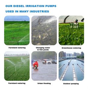 Pompe centrifuge à aspiration axiale 8 pouces, pompes à eau diesel, pompes d'irrigation diesel à vendre - Product Image 6