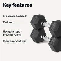 VIGFIT Dumbbell Besi Cor Kepala Heksagonal Tahan Lama dengan Pegangan Krom Ergonomis untuk Latihan Kekuatan Lengan dan Bahu-Profesional