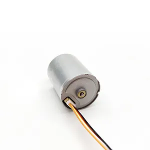 Electric Engine TT Custom 24mm 2430 High Speed 12v 24v Mini Bldc Motor Micro Brushless Dc Motor