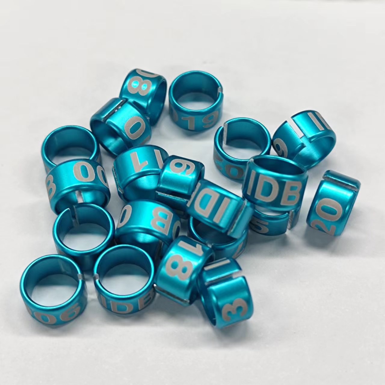 chicken leg bands split