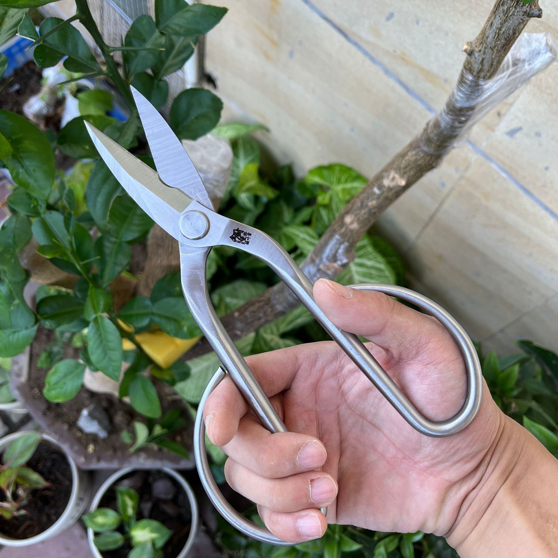 Acciaio inossidabile